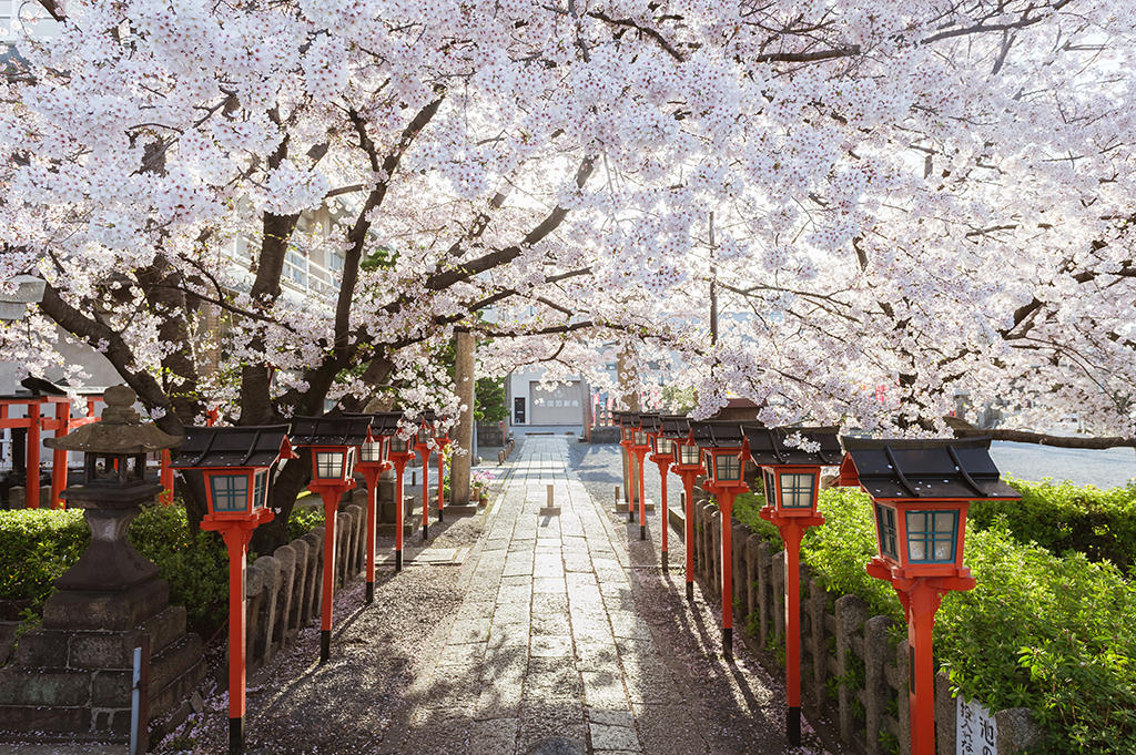 京都婚紗 海外婚紗 京都交通 京都景點 京都美食 京都和服租賃 祇園白川婚紗 奈良婚紗 京都婚紗側錄