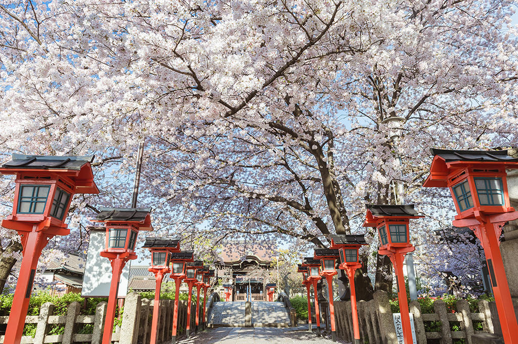 京都婚紗 海外婚紗 京都交通 京都景點 京都美食 京都和服租賃 祇園白川婚紗 奈良婚紗 京都婚紗側錄