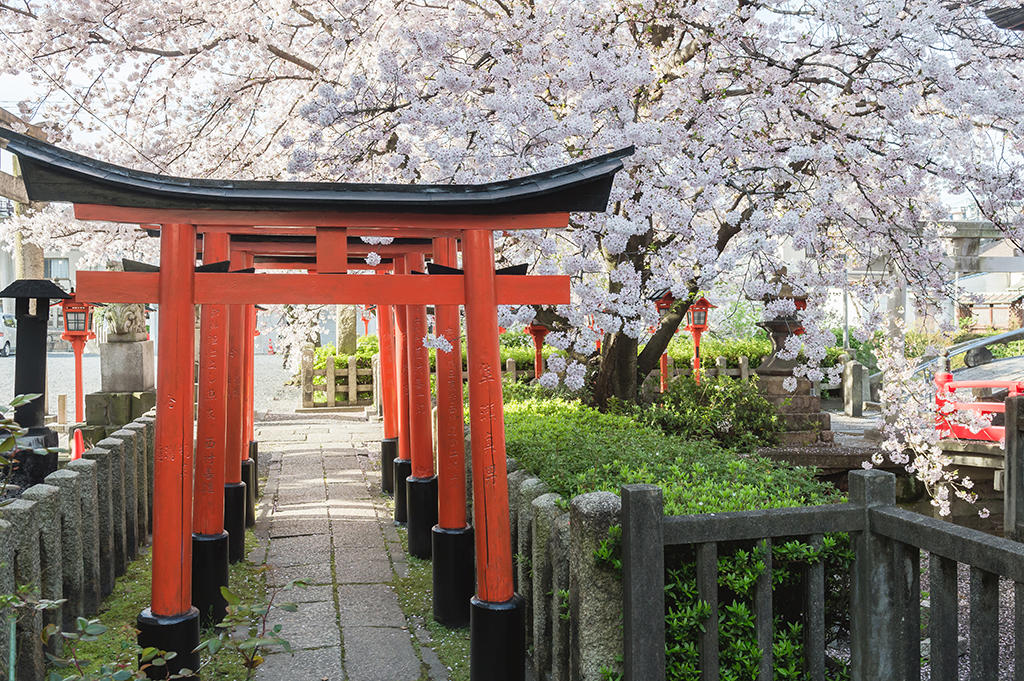 京都婚紗 海外婚紗 京都交通 京都景點 京都美食 京都和服租賃 祇園白川婚紗 奈良婚紗 京都婚紗側錄