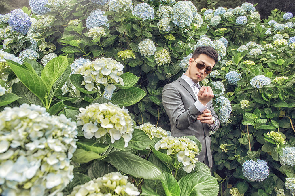 台灣台北陽明山竹子湖繡球花婚紗作品,台北婚紗景點,推薦桃園台北新竹婚紗攝影師,桃園台北造型師,台北桃園租禮服