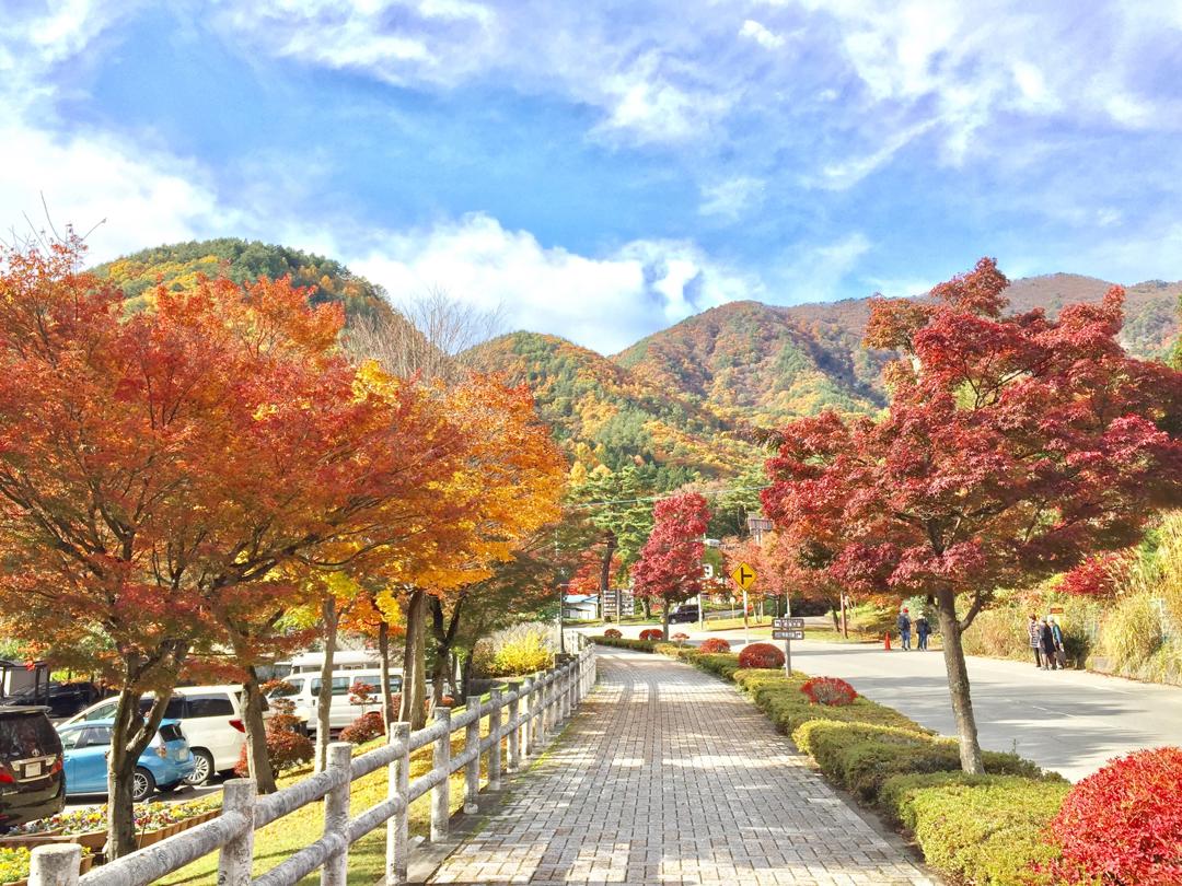 富士山婚紗 河口湖婚紗 海外婚紗 富士山景點 河口湖景點 西湖景點 河口湖交通 河口湖車站 日本楓葉婚紗