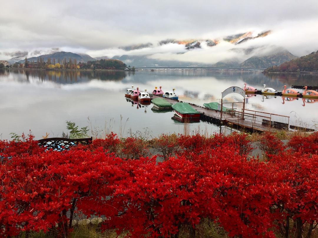 富士山婚紗 河口湖婚紗 海外婚紗 富士山景點 河口湖景點 西湖景點 河口湖交通 河口湖車站 日本楓葉婚紗