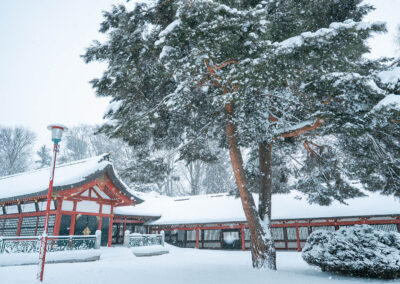 北海道旅拍日本旅拍