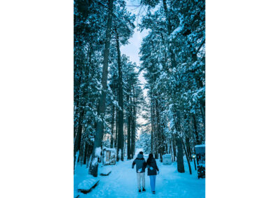 北海道旅拍日本旅拍