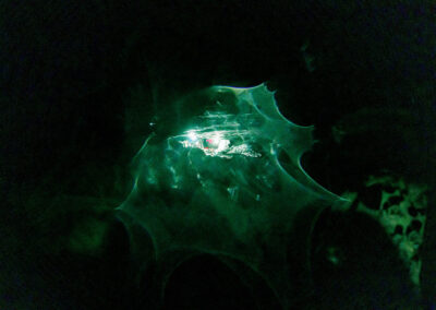 冰島包車,冰島藍冰洞包團訂購當地團攝影冰川健行團