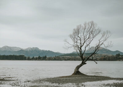 紐西蘭婚紗旅拍