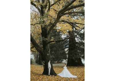 紐西蘭婚紗旅拍